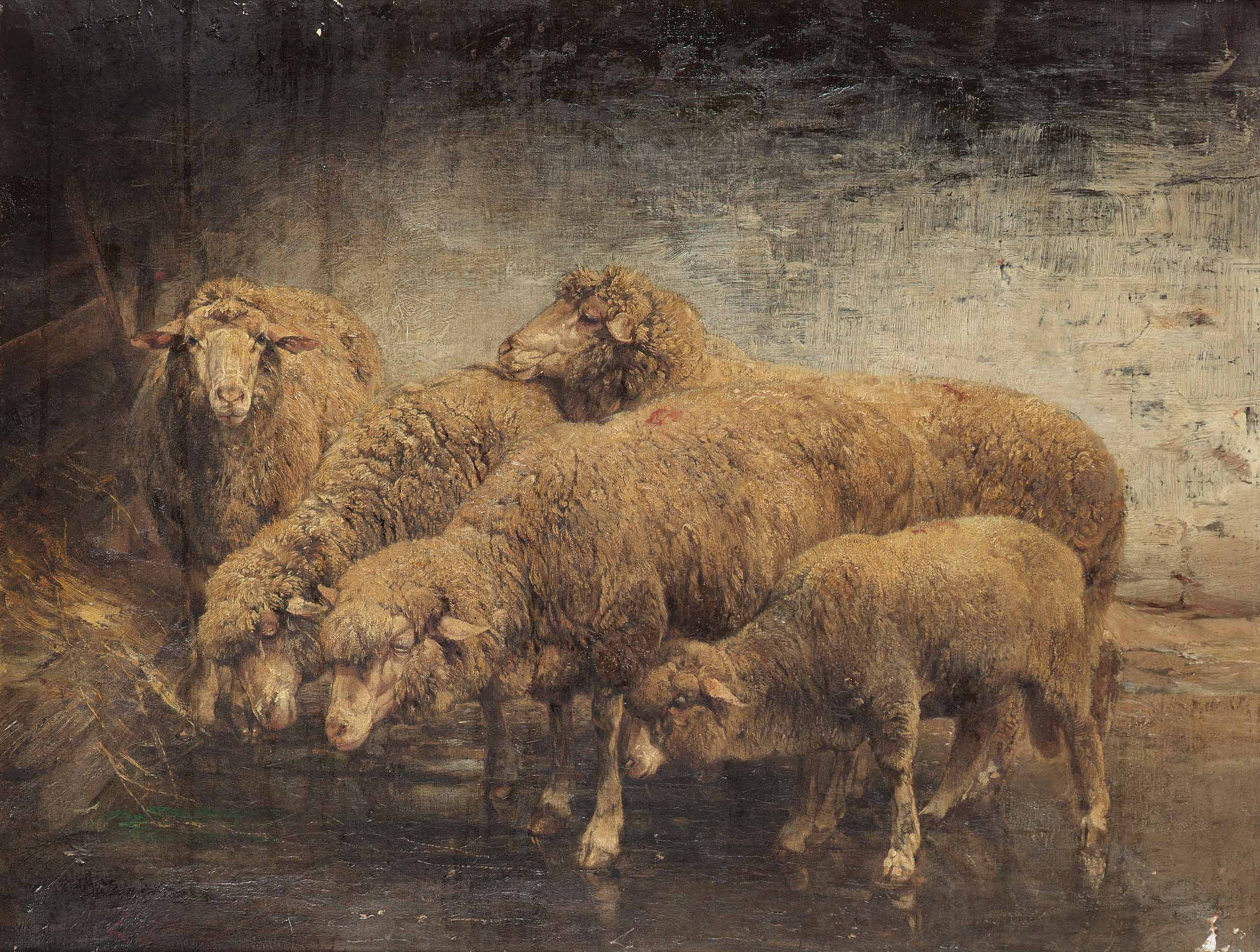 Heinrich von Angeli Sheep in a barn